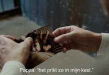 Waarom heeft niemand iets gezegd?