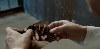 Waarom heeft niemand iets gezegd?