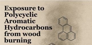 Blootstelling aan PAK’s door houtstook