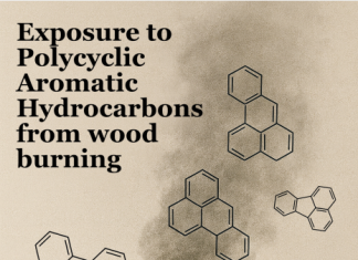 Blootstelling aan PAK’s door houtstook – Aanvullling